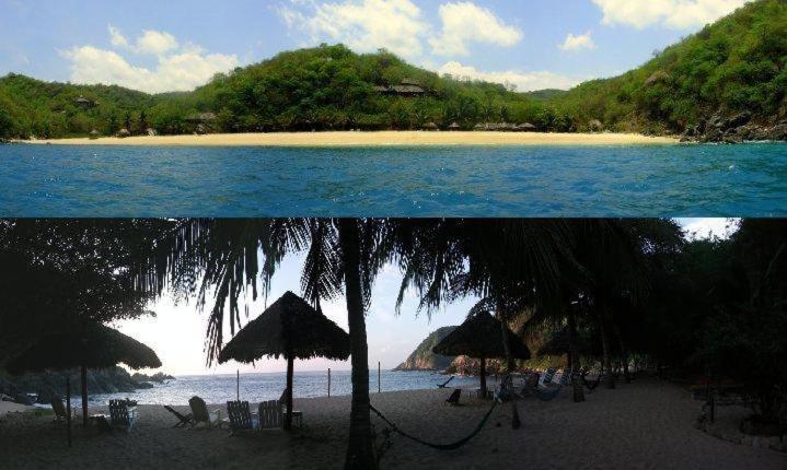 Hotel Bahia De La Luna Arroyo Cruz 외부 사진