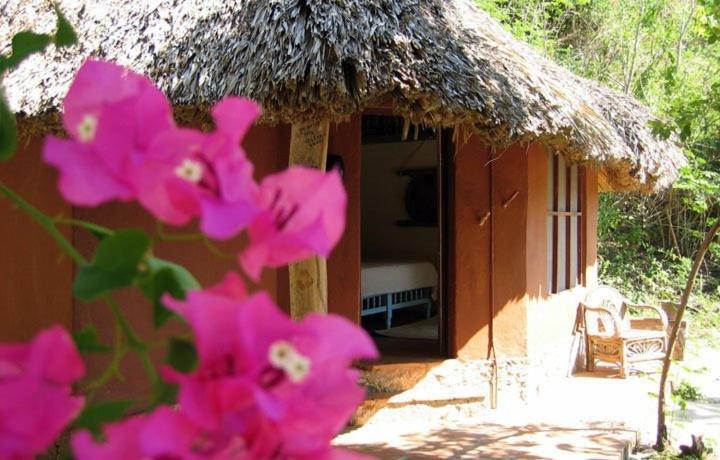 Hotel Bahia De La Luna Arroyo Cruz 외부 사진